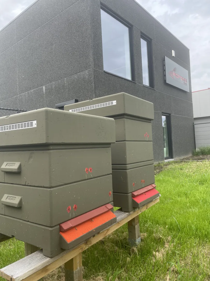 Duurzame bedrijfspartnerschappen